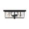 Z-Lite Sana 4 Light Outdoor Flush Ceiling Mount Fixture, Black And Seedy 592F-BK - alternate 5